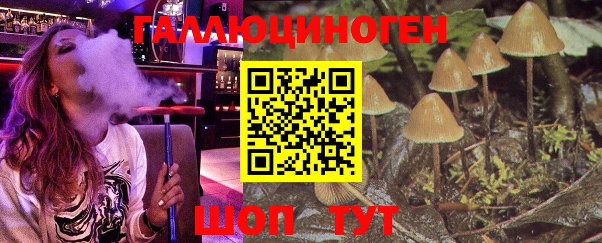 Псилоцибиновые грибы Psilocybe  Псилоцибиновые грибы Cubensis  Вход с VPN  Новоуральск 